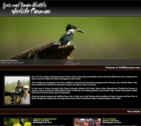 Wildlifecosmos